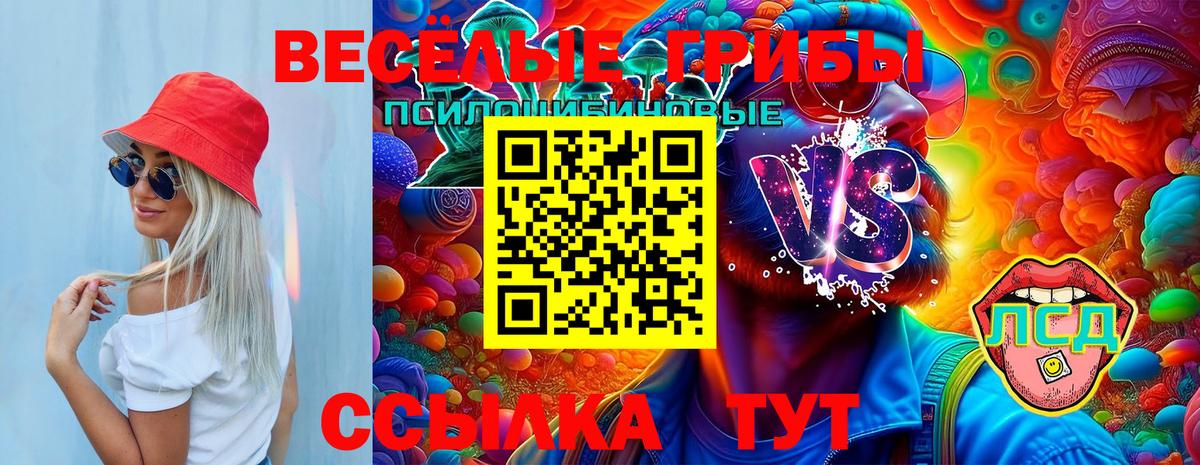 Псилоцибиновые грибы Magic Shrooms  Вход с VPN  Углич  Псилоцибиновые грибы ЛСД 